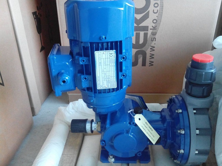 3198517853_279664381-2